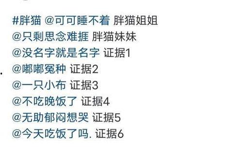 肥猫事件最新爆料,最新爆料揭露惊人内幕  第1张